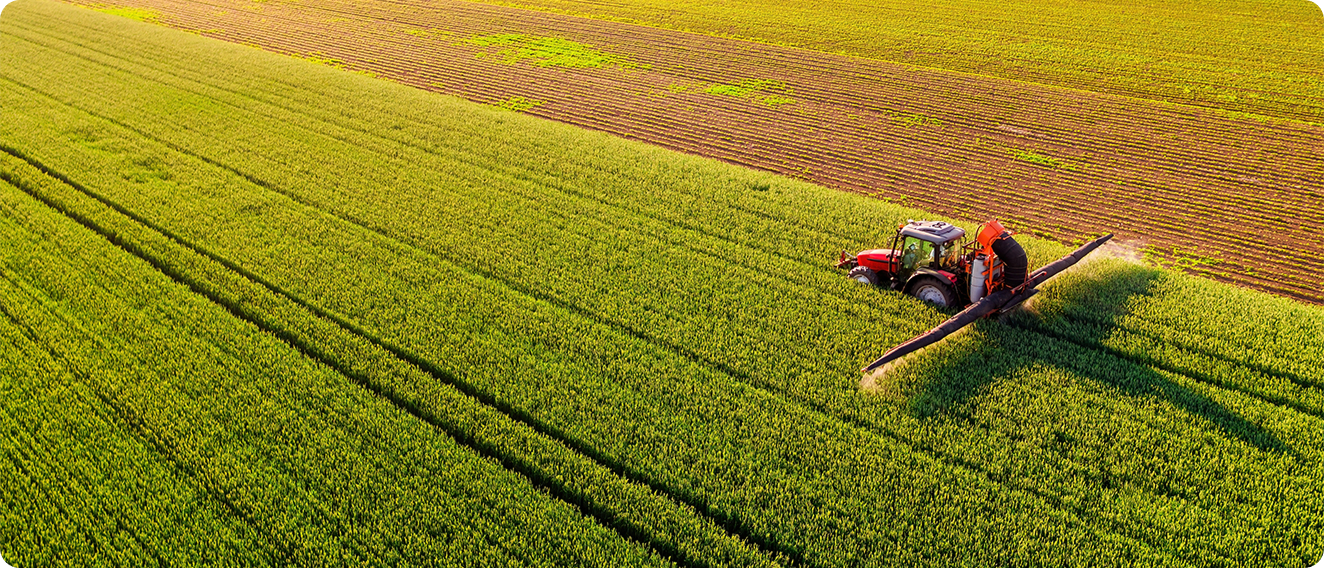 Adv-IMG